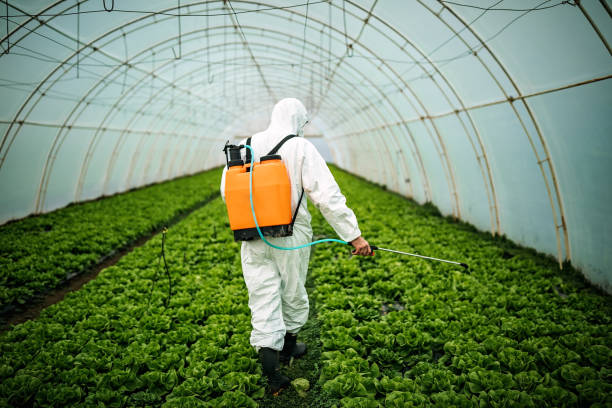 Best Pest Control Near Me  in Fort Defiance, AZ