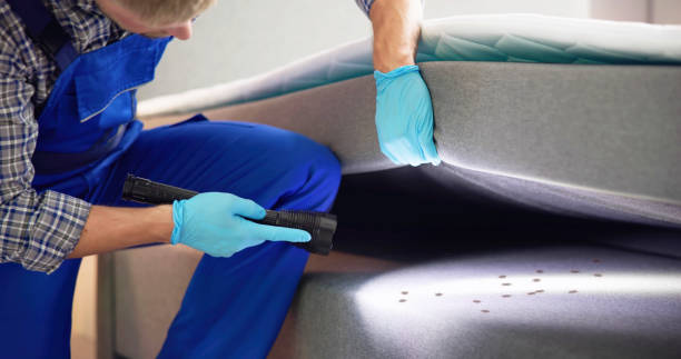 Best Residential Pest Control  in Fort Defiance, AZ