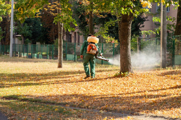 Insect Control in Fort Defiance, AZ