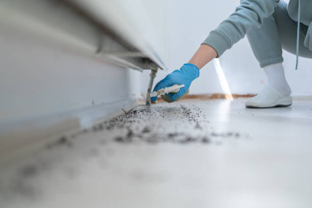 Best Exterminator Services  in Fort Defiance, AZ